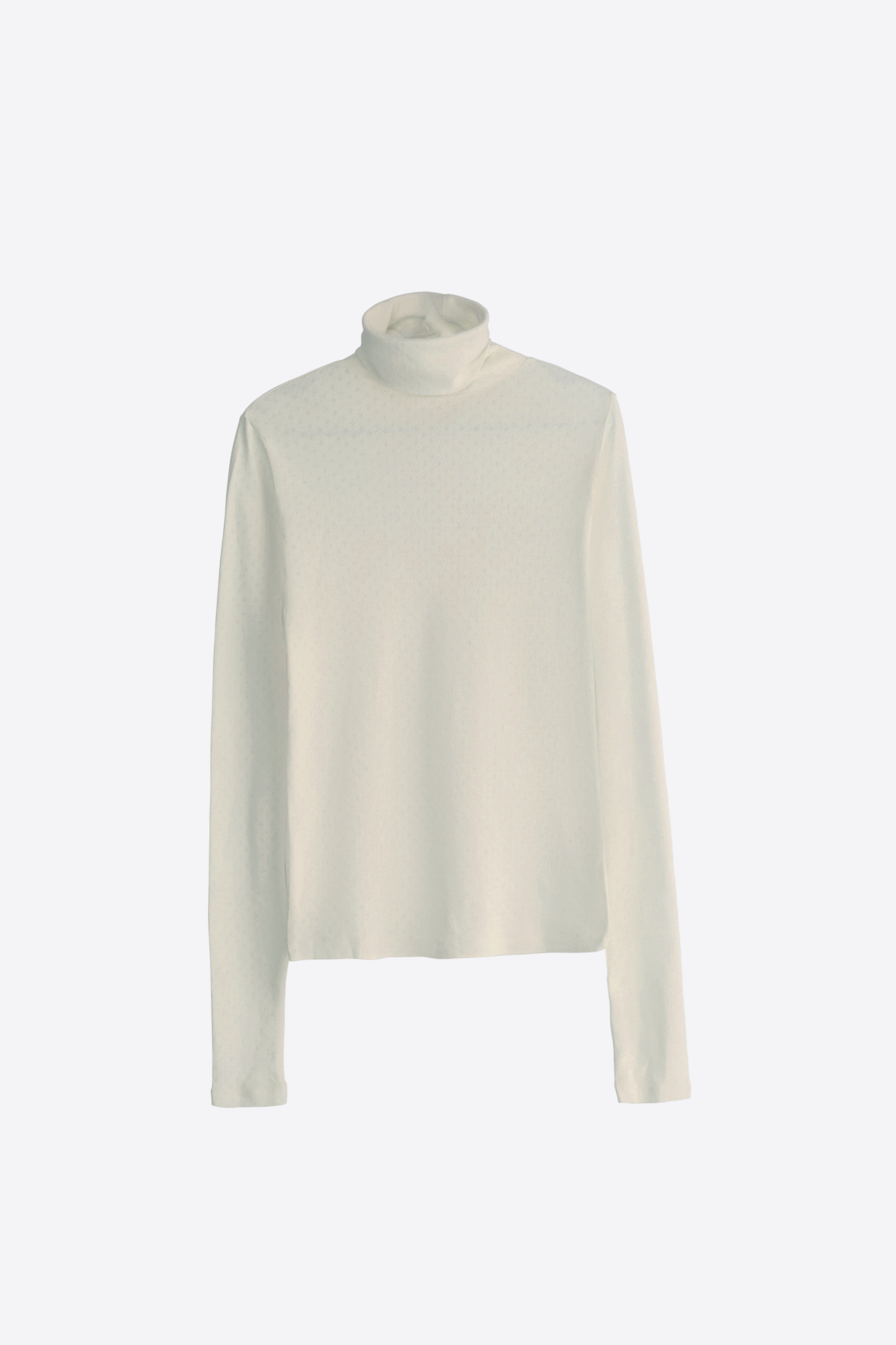 Charlotte Turtle Neck